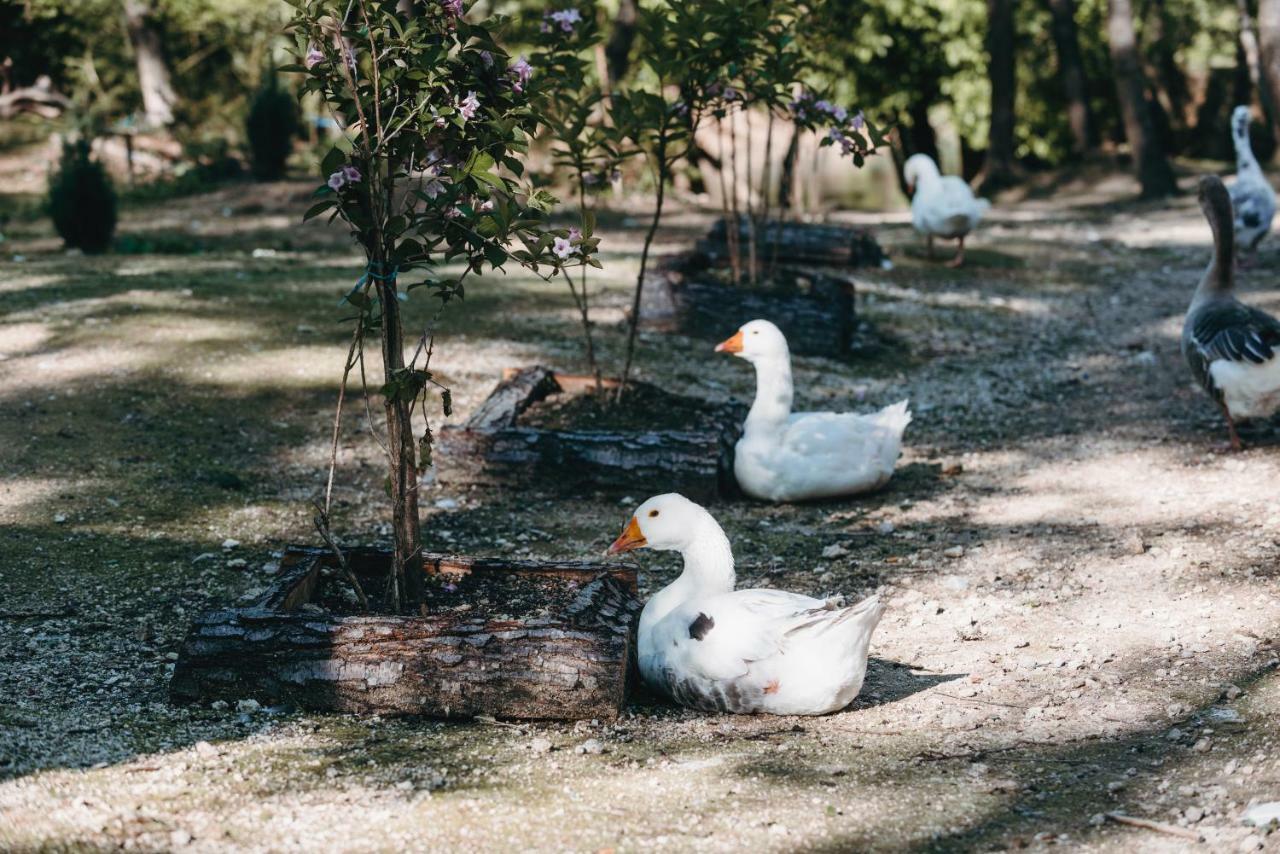 Hotel Kostelski Buk Bihać エクステリア 写真